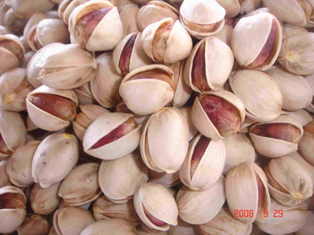 The nutritional value of pistachios شرکت کشاورزی سیرجان بنیاد